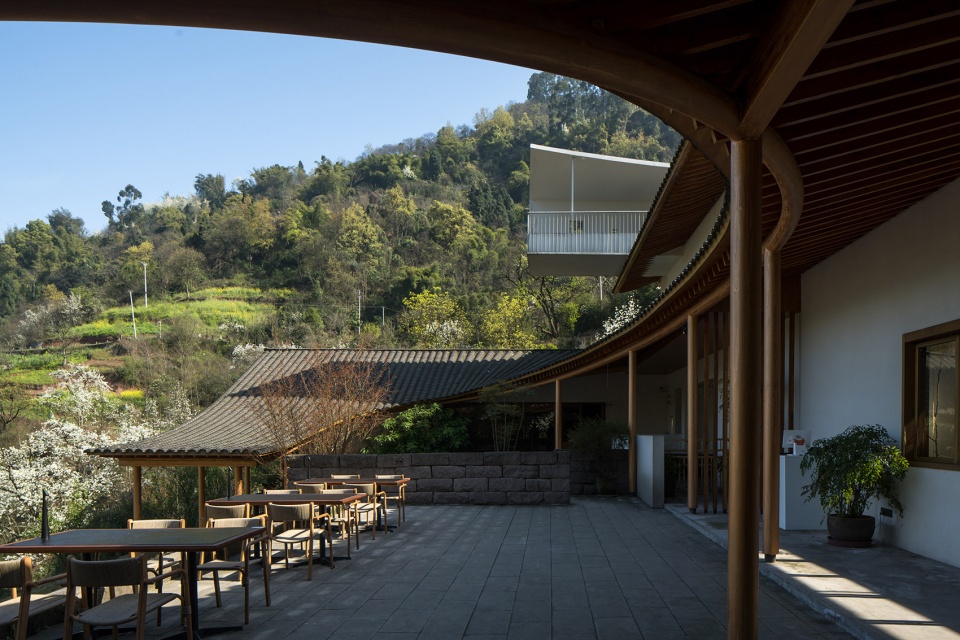 buzzy sunny luzhou by archermit