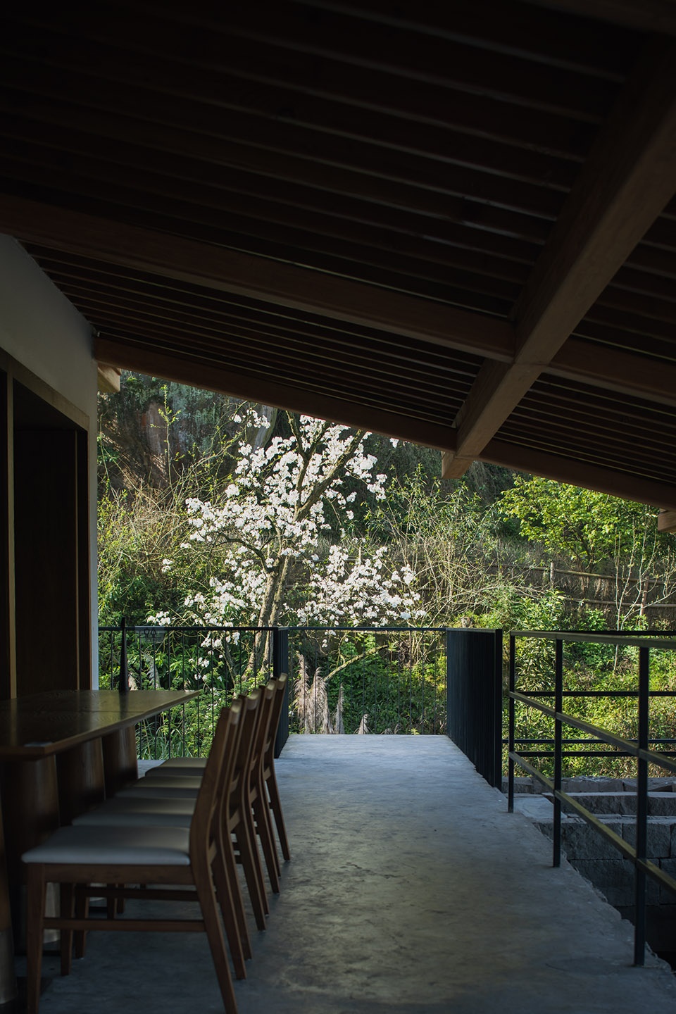 buzzy sunny luzhou by archermit