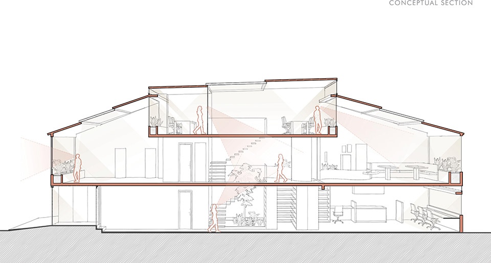 The BURROW