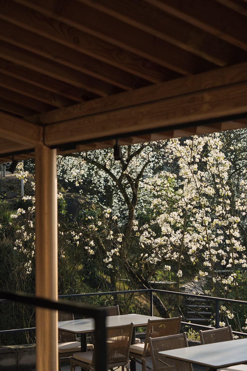 buzzy sunny luzhou by archermit