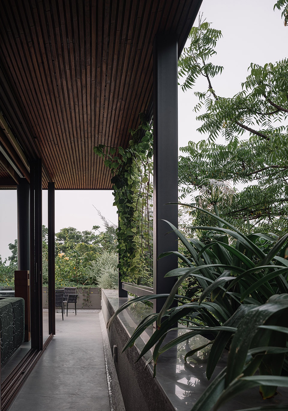 ms house by studio saransh