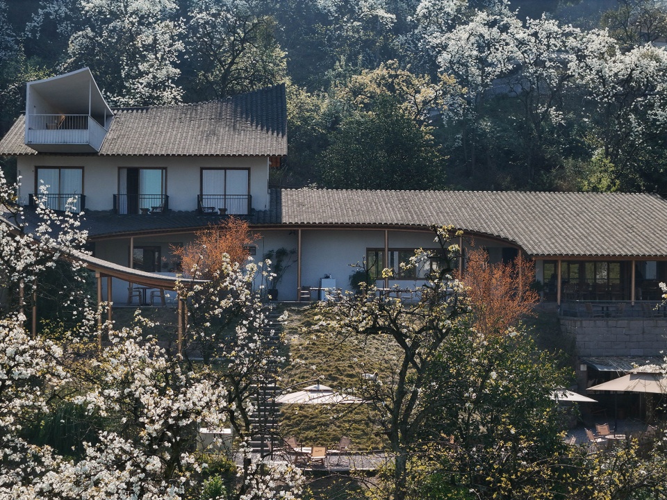 buzzy sunny luzhou by archermit