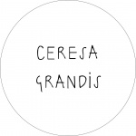 Ceresa Grandis Architetti