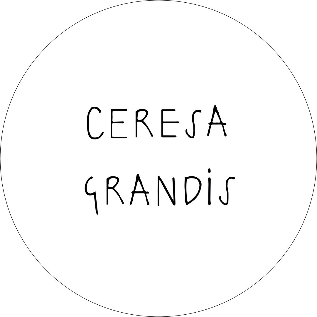Ceresa Grandis Architetti
