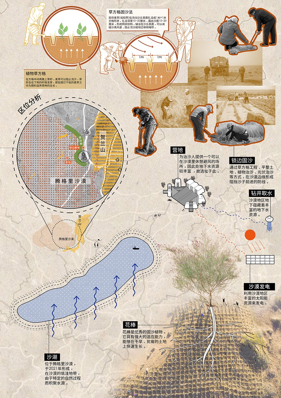 desert ark by designreserve