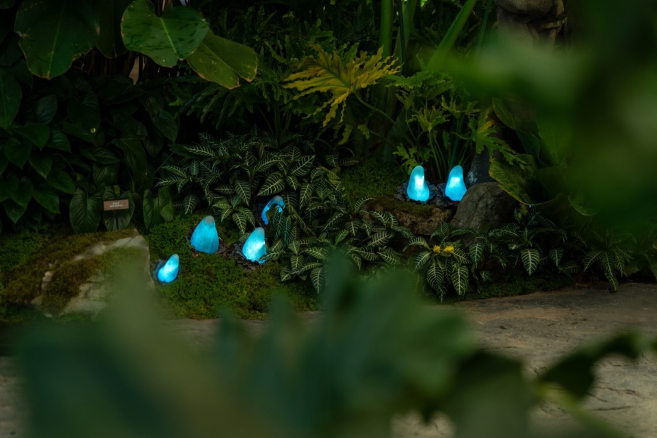Overall Wonder Tree Installation Design