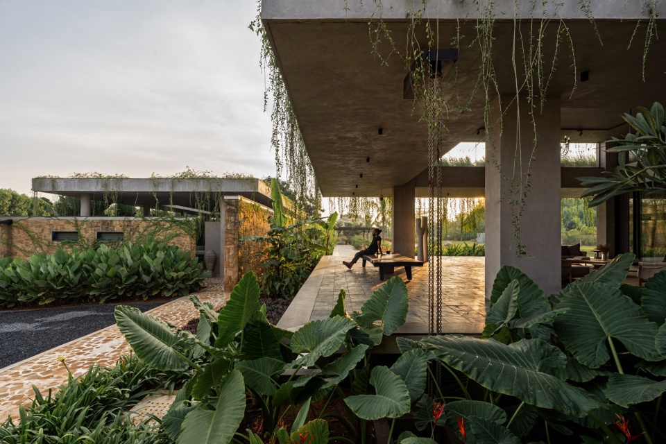 antriya by 23 degrees design shift