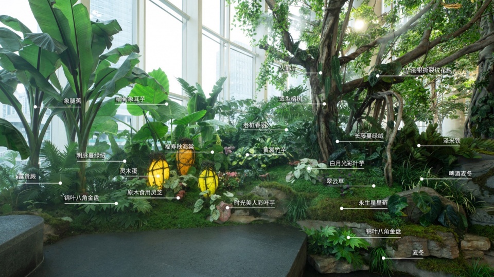 Overall Wonder Tree Installation Design