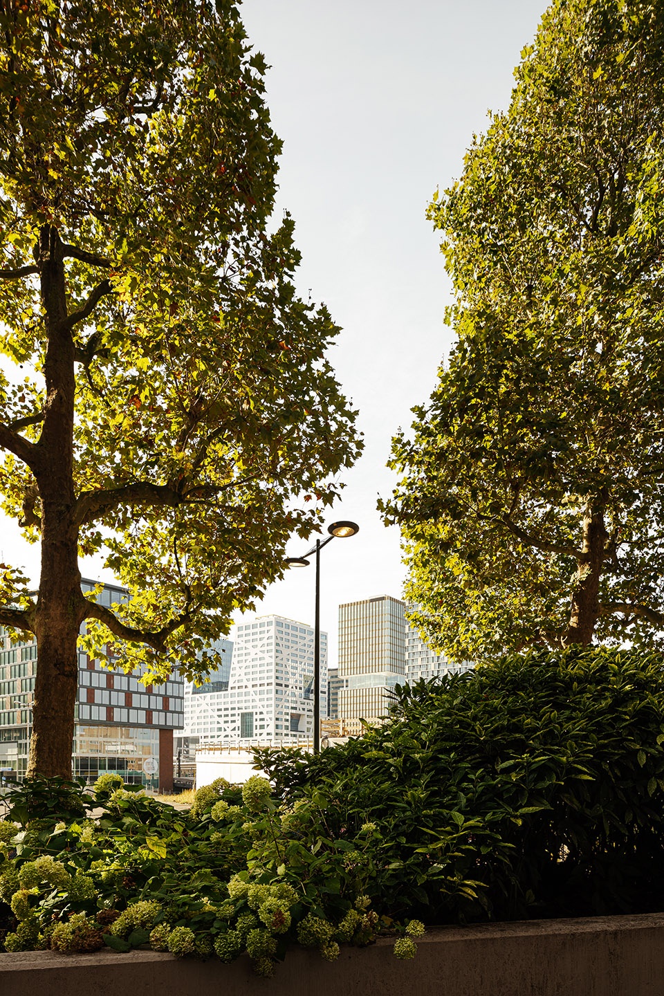 Central Park tower by Group A