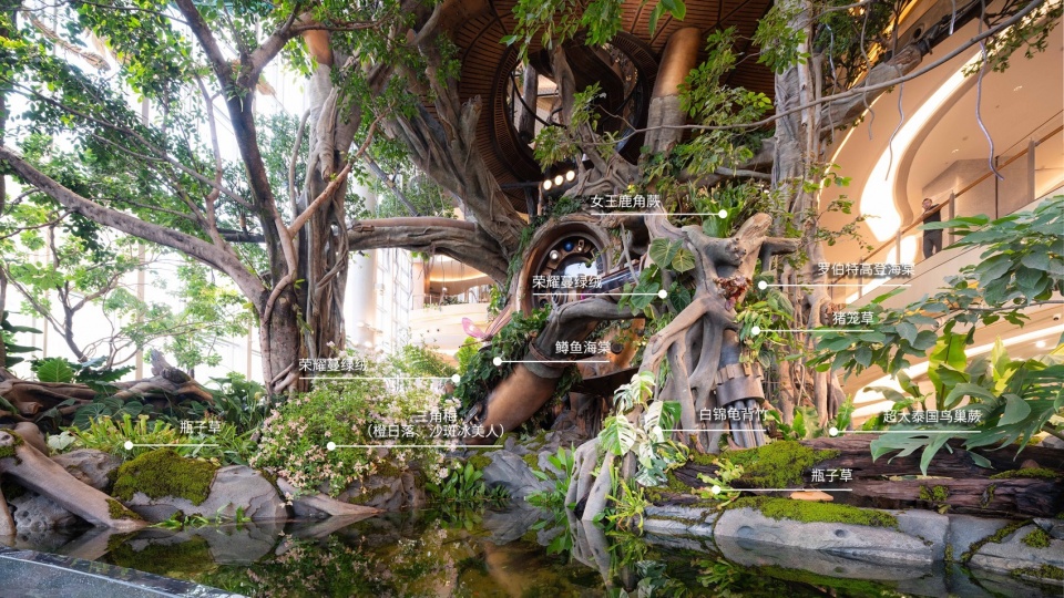 Overall Wonder Tree Installation Design