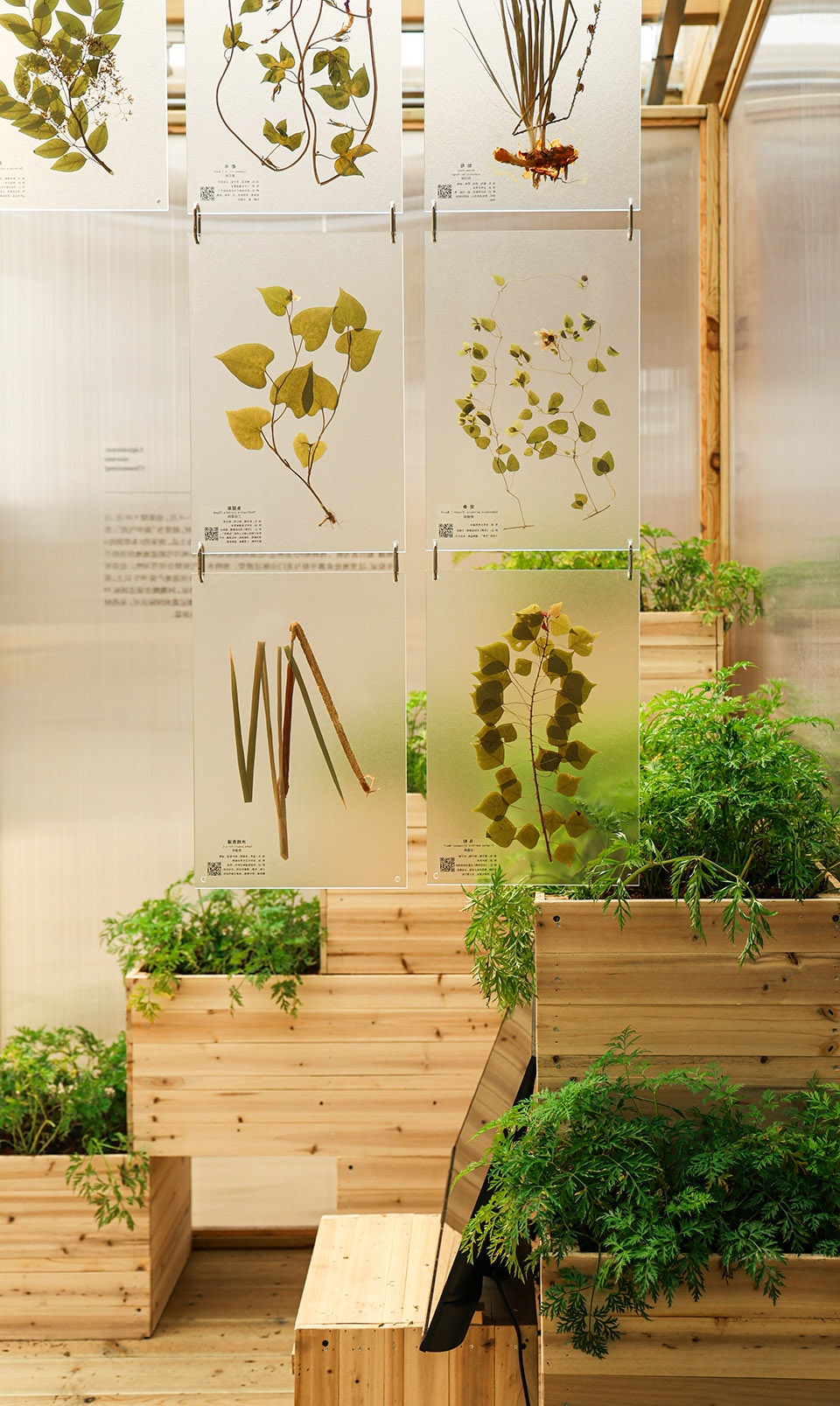 Tianfu Medicine Market Store Zero by UN GROUP