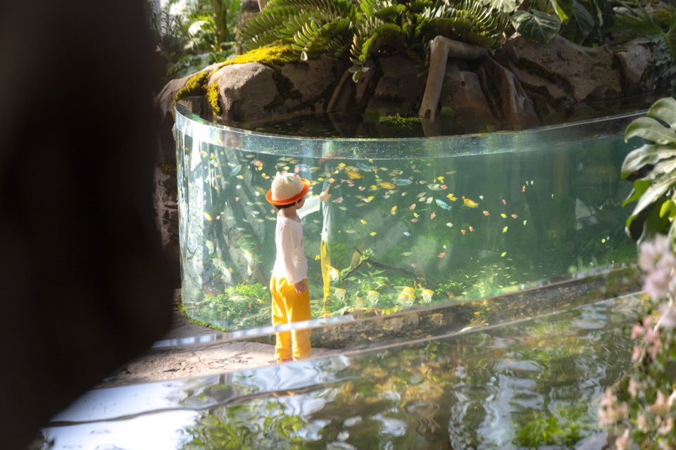 Overall Wonder Tree Installation Design