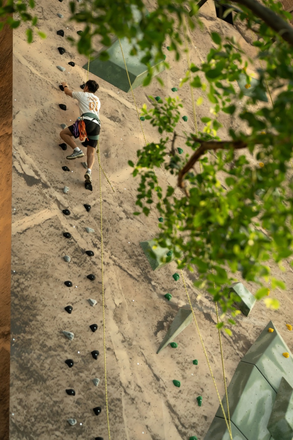 Overall Wonder Tree Installation Design