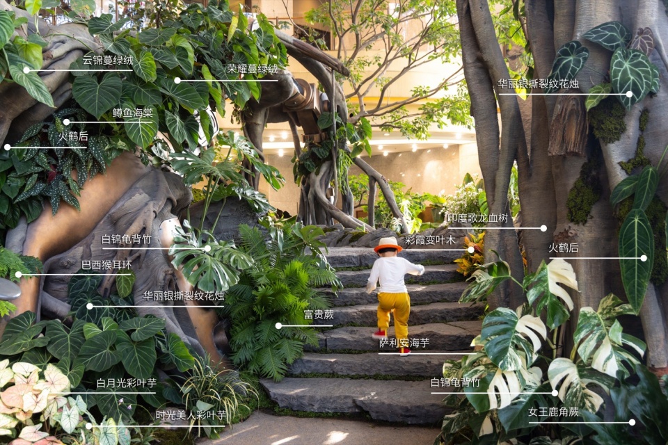 Overall Wonder Tree Installation Design