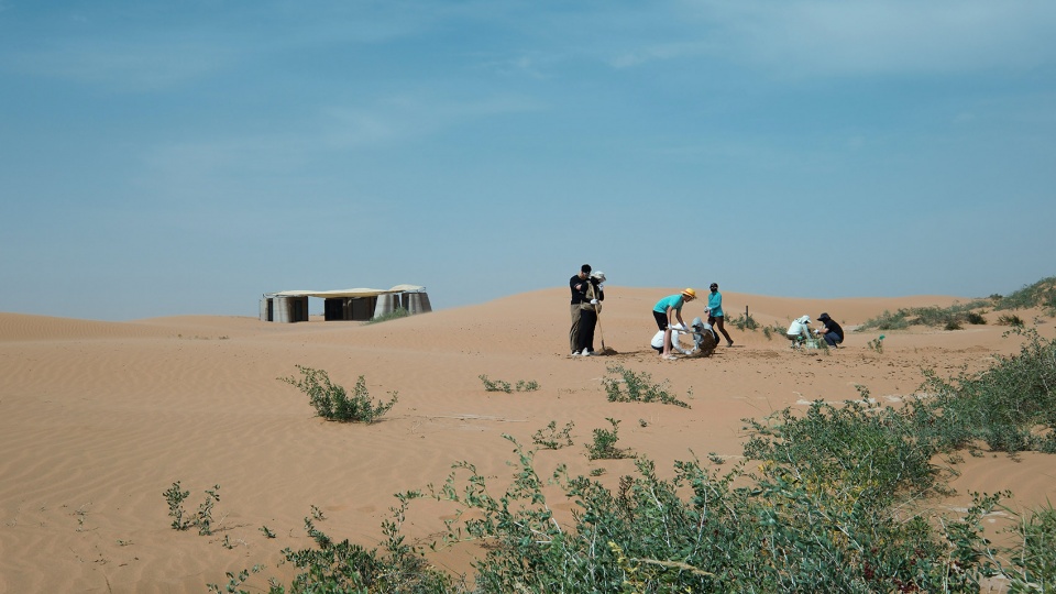 desert ark by designreserve