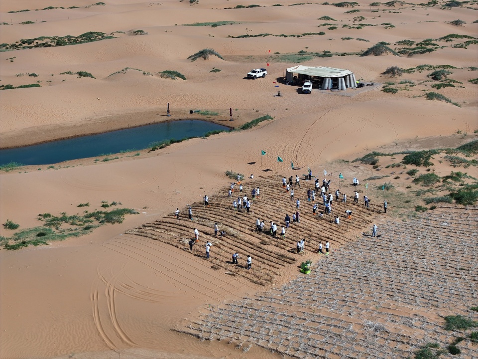 desert ark by designreserve