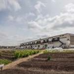 Keilepand 仓库改造，荷兰 / GROUP A + studioADAMS