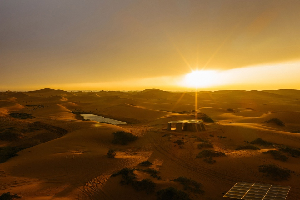 desert ark by designreserve