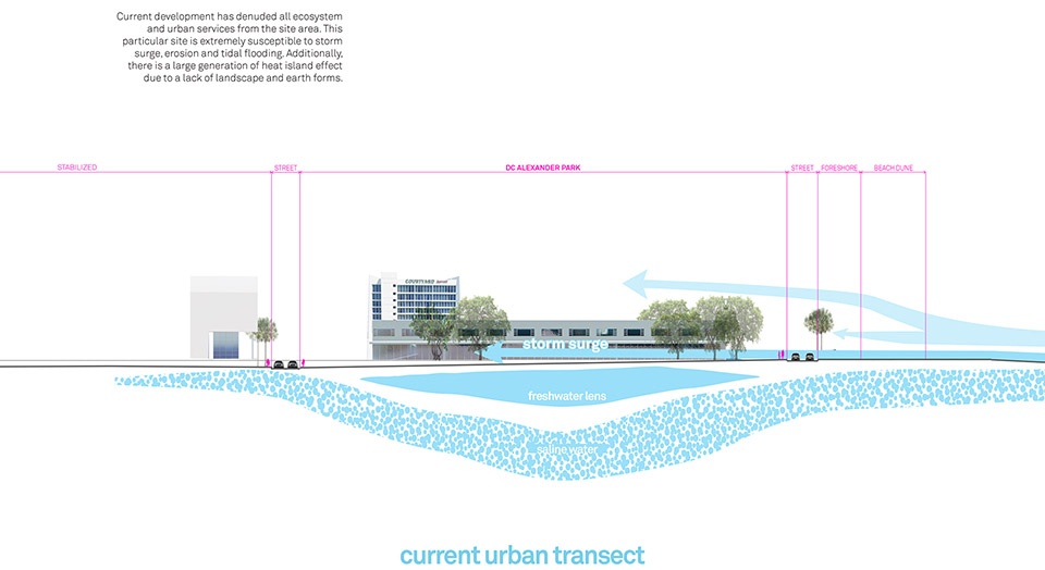 dc alexander park by brooks scarpa