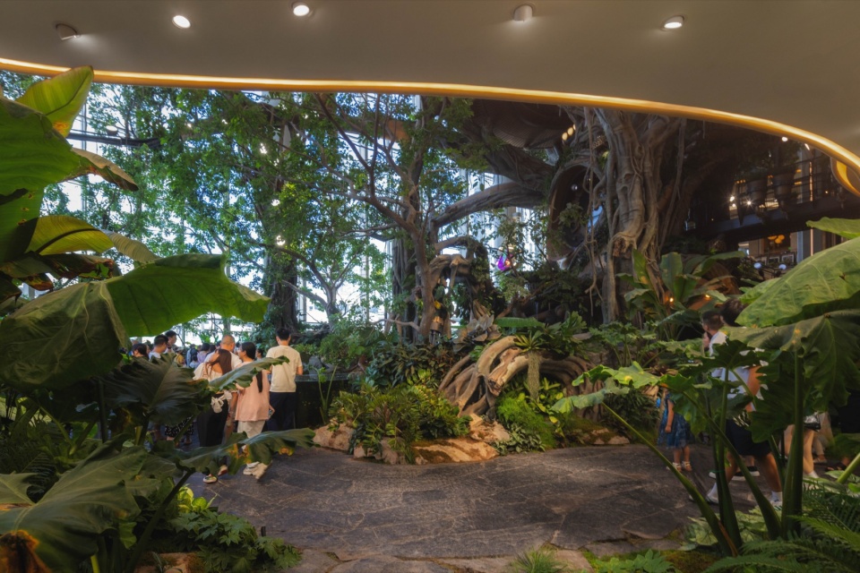 Overall Wonder Tree Installation Design
