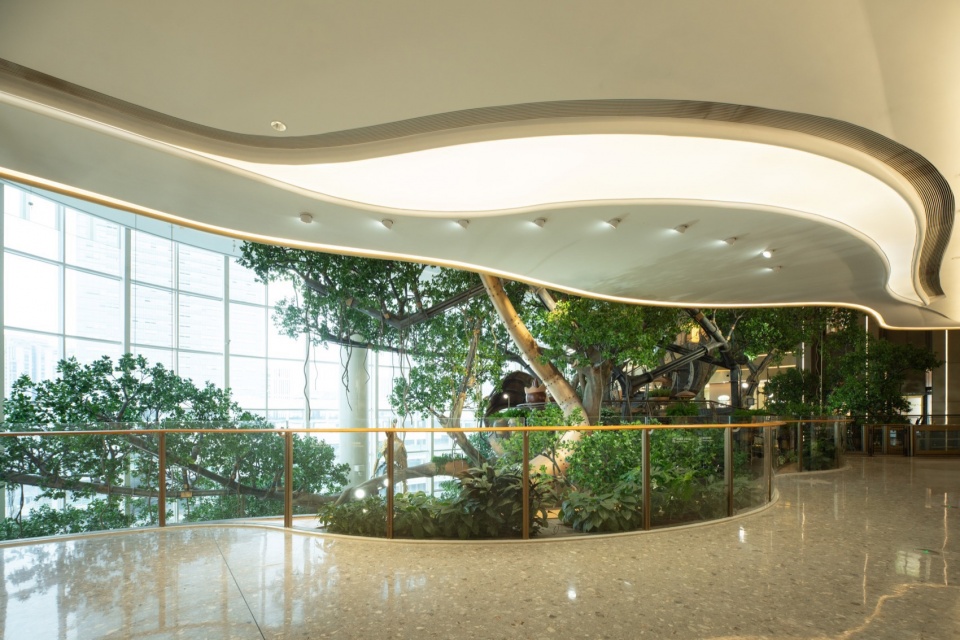 Overall Wonder Tree Installation Design