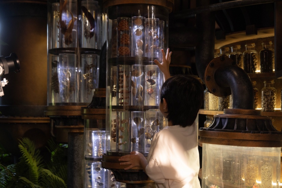Overall Wonder Tree Installation Design
