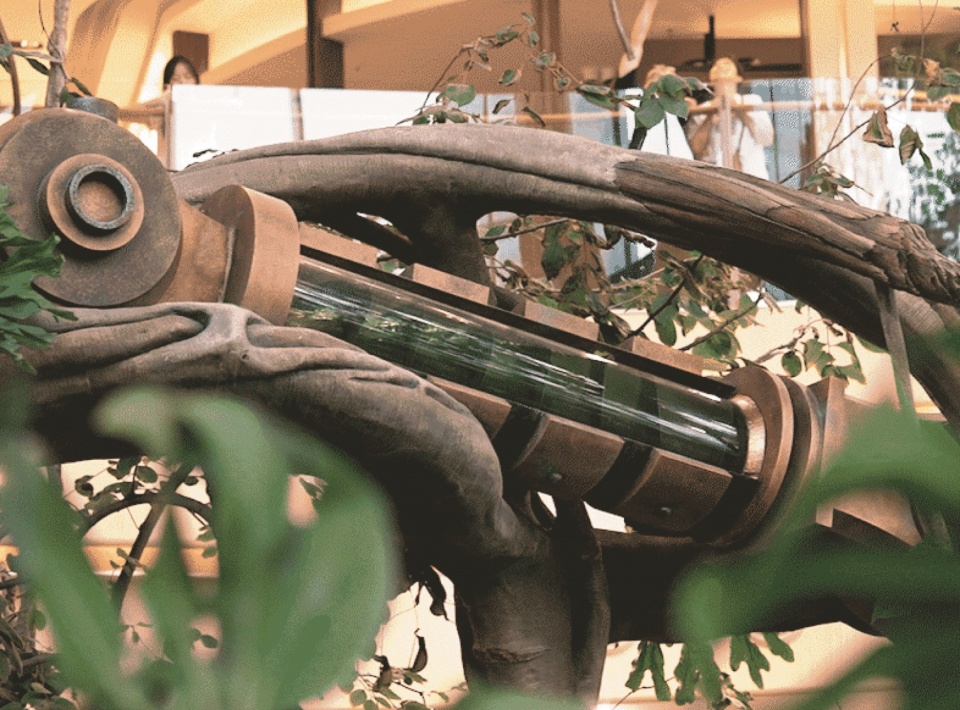 Overall Wonder Tree Installation Design