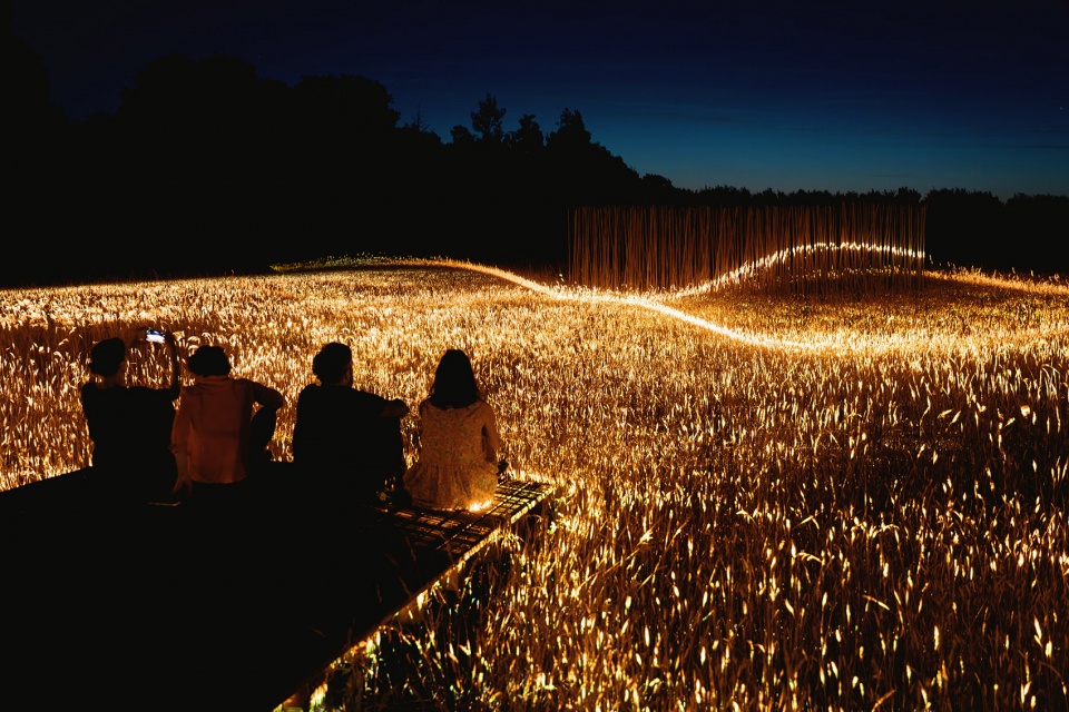 Phorest light installation by 1024 architecture