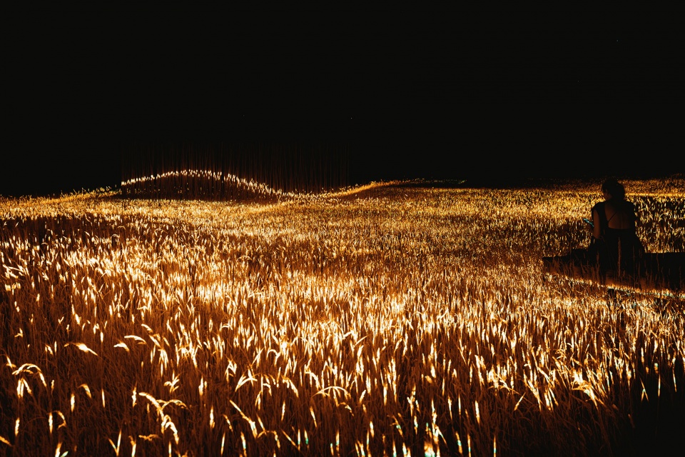 Phorest light installation by 1024 architecture