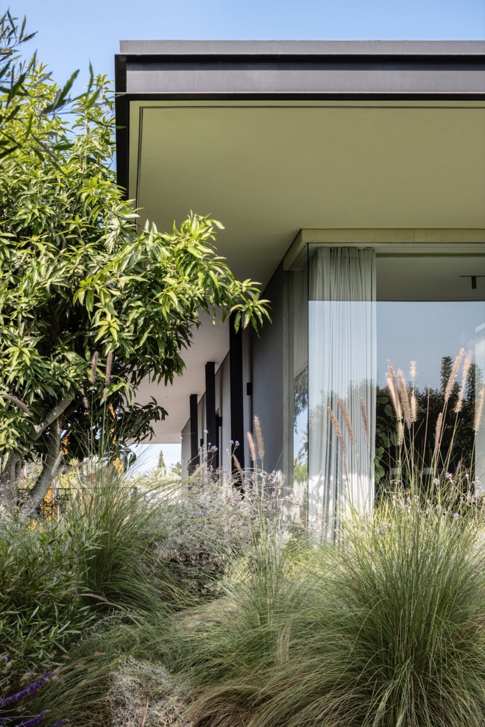 a contemporary haven in kfar shmaryahu by raz melamed