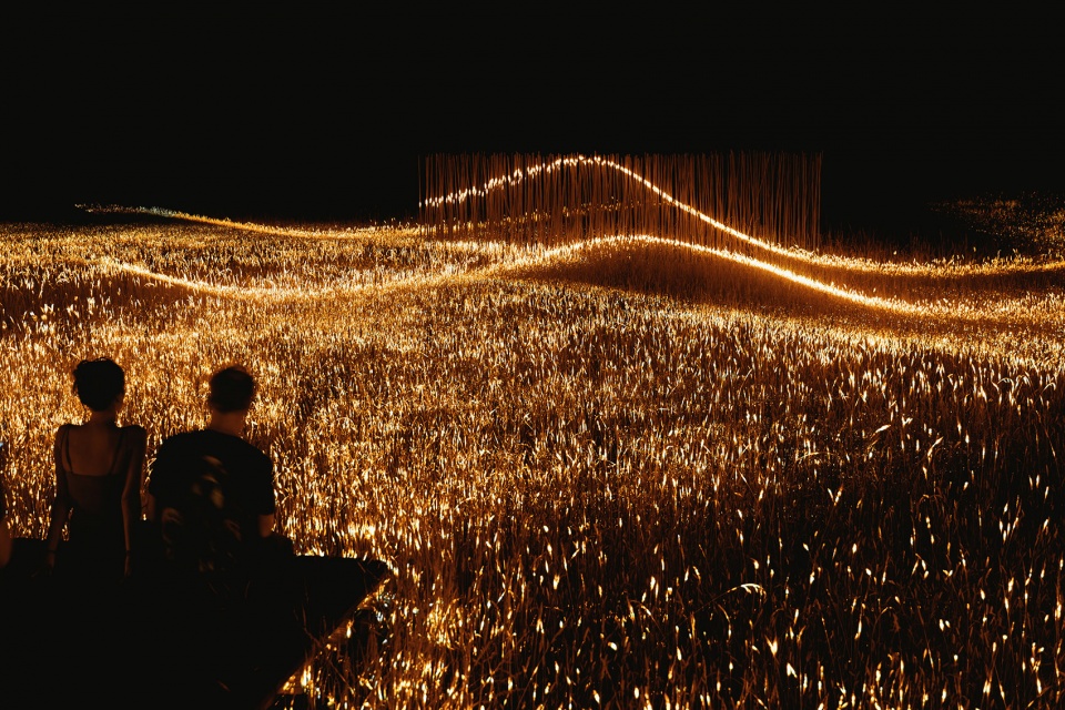 Phorest light installation by 1024 architecture