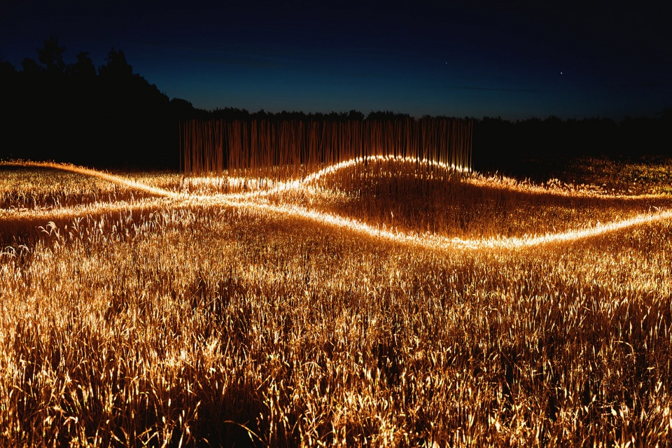 Phorest light installation by 1024 architecture
