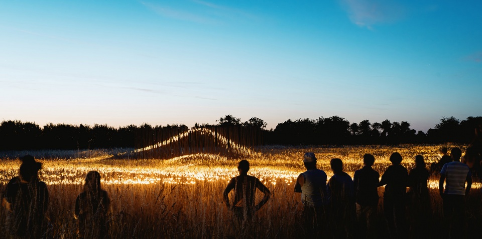 Phorest light installation by 1024 architecture 2ul
