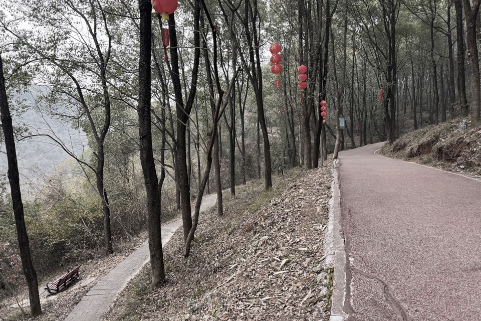 Xiaoxita Forest Park