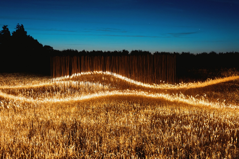 Phorest light installation by 1024 architecture