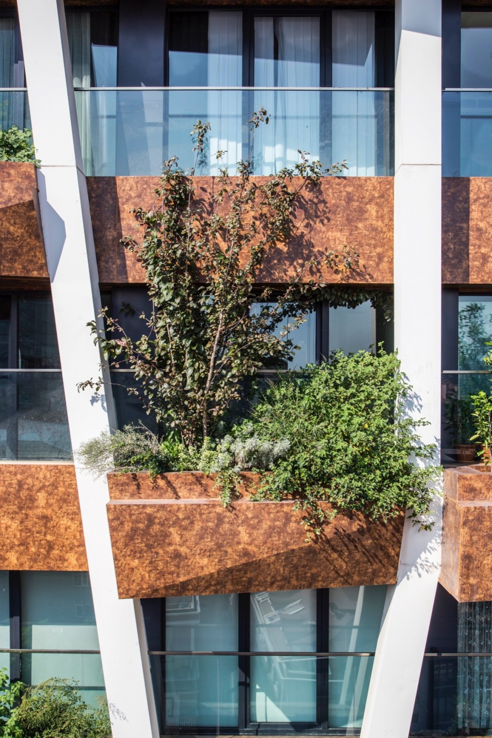 greenox urban residence design by mdw