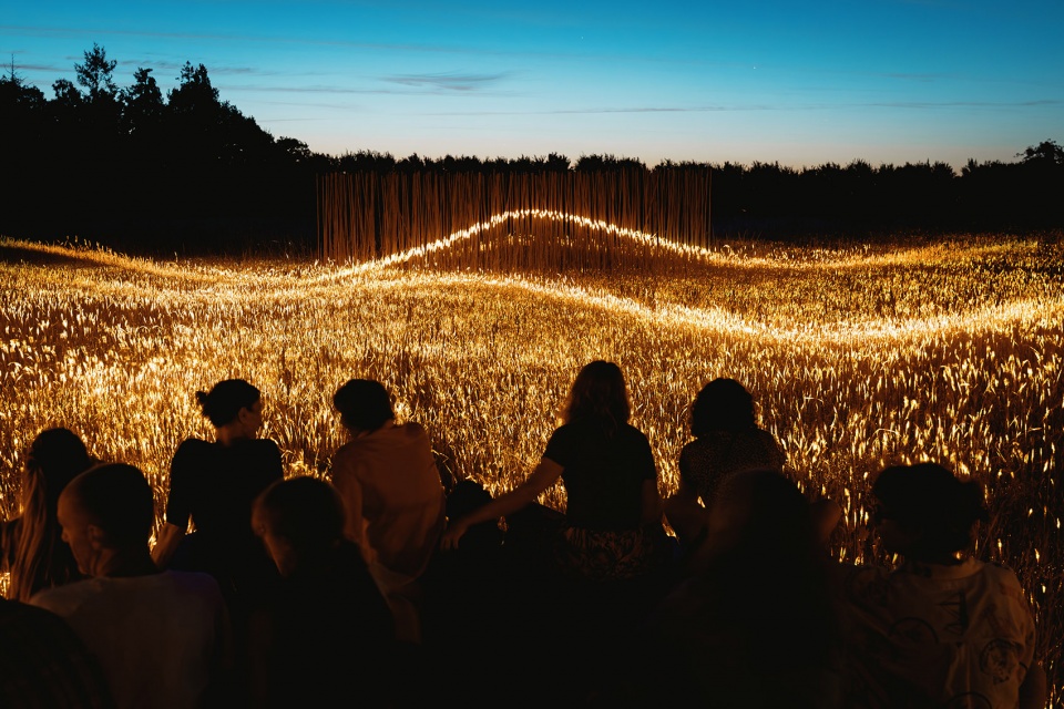 Phorest light installation by 1024 architecture