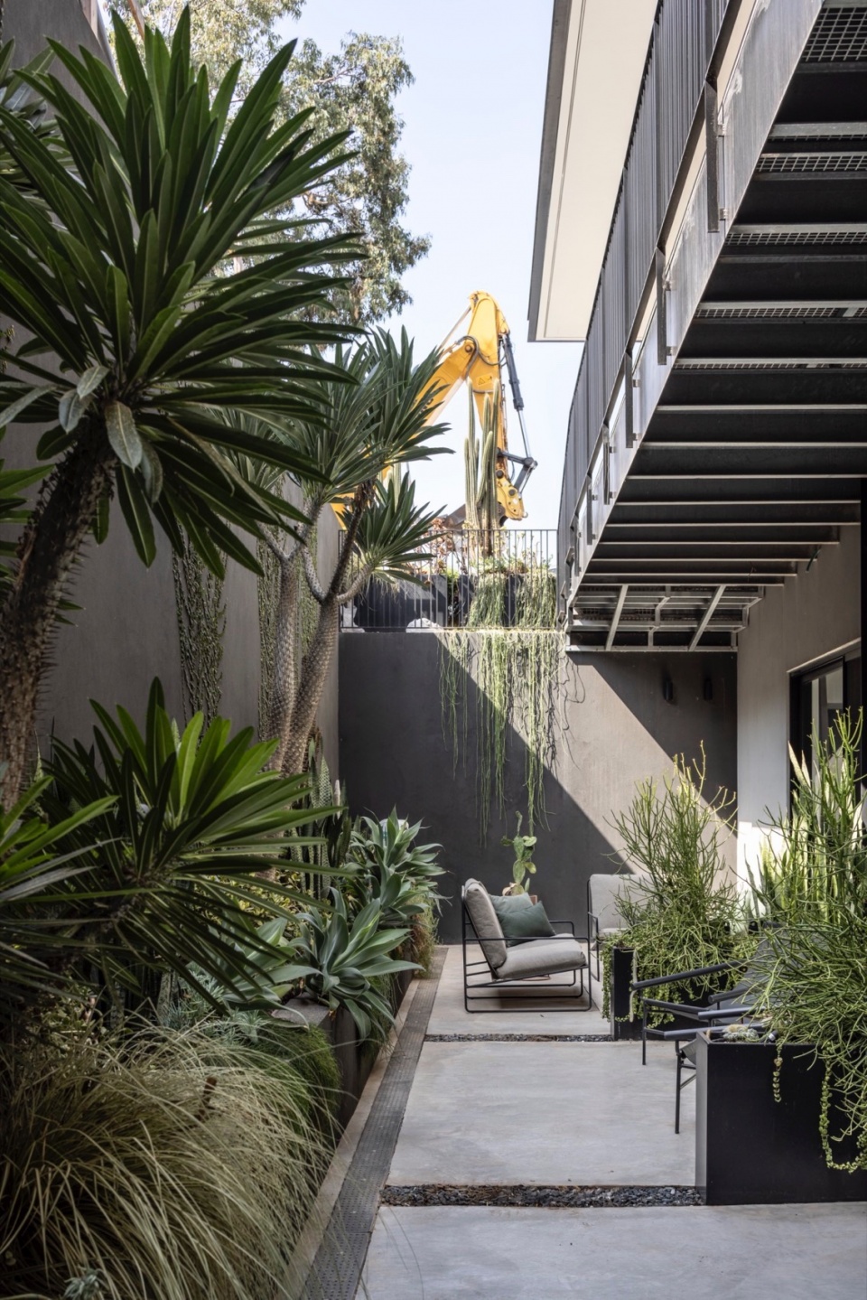 a contemporary haven in kfar shmaryahu by raz melamed