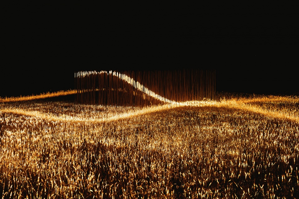Phorest light installation by 1024 architecture