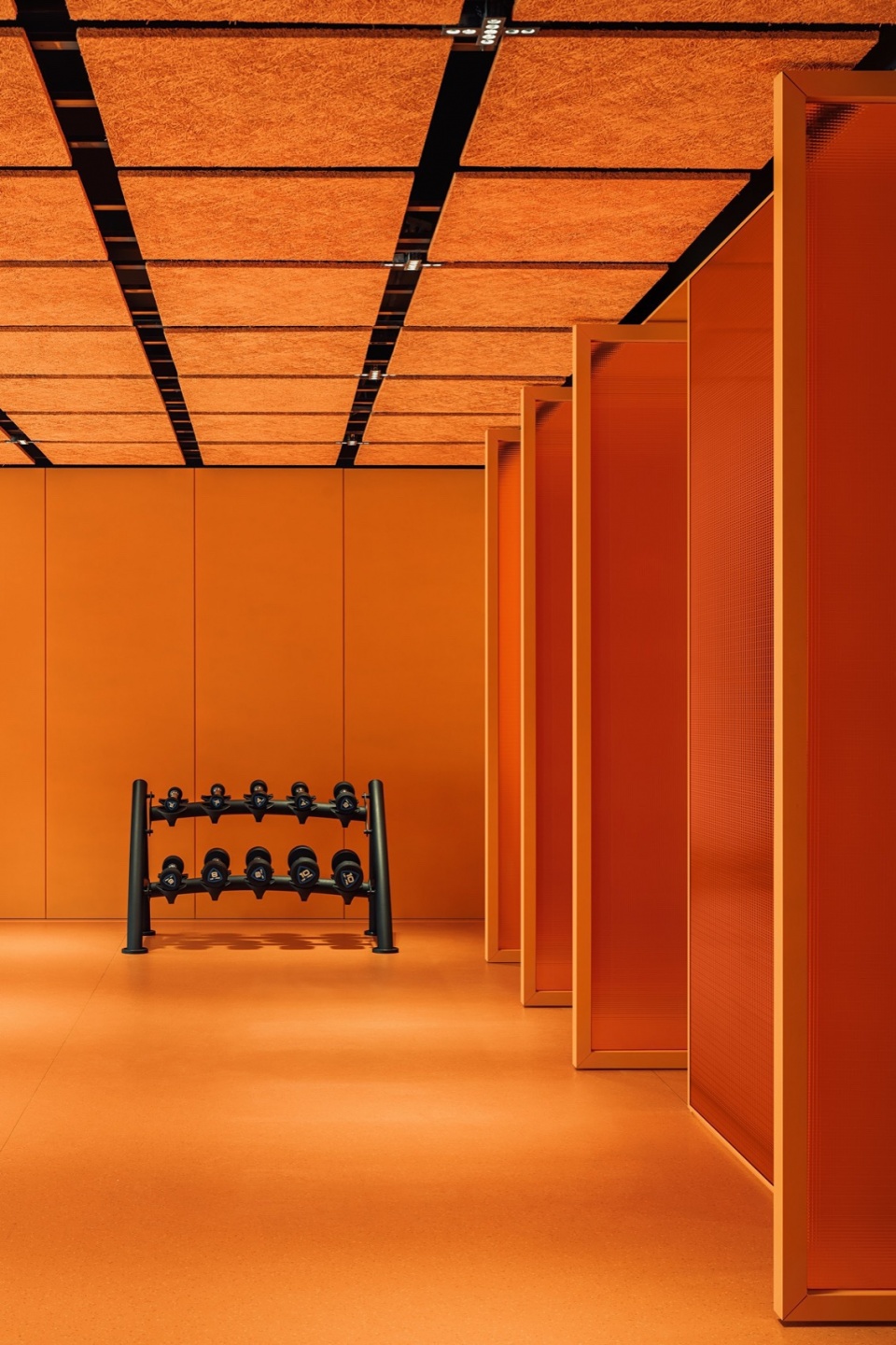 max show office sales centre foshan by ippolito fleitz group
