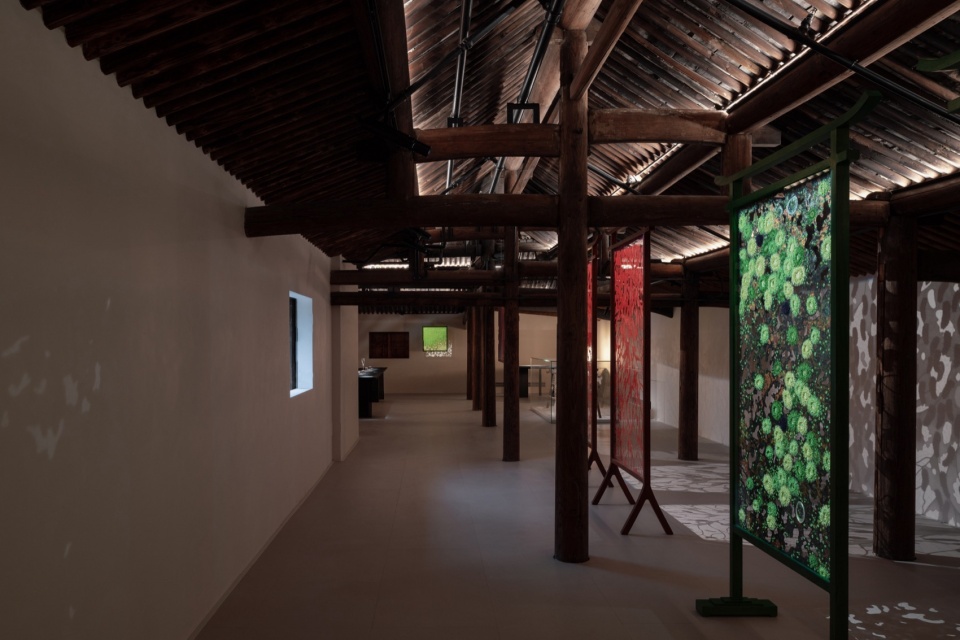 tai silk courtyard by co mileu deep origin lab