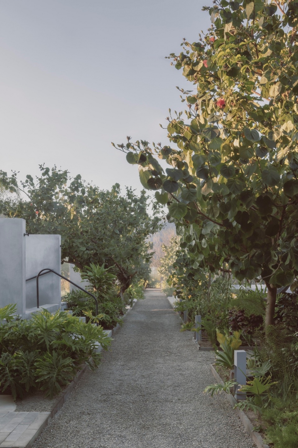 thermal garden by perez gomez arquitectura