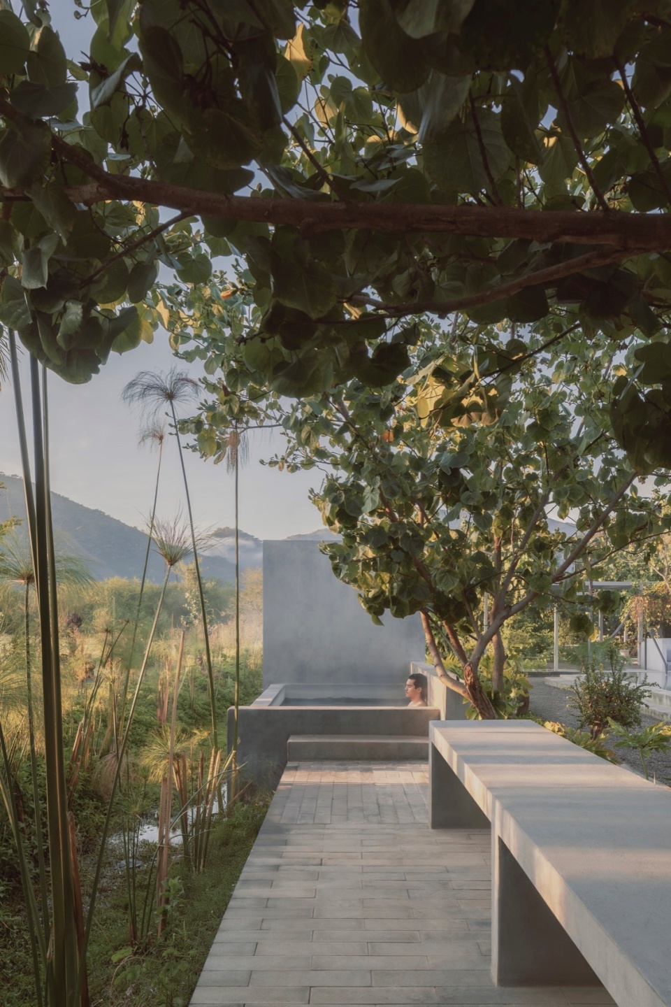 thermal garden by perez gomez arquitectura