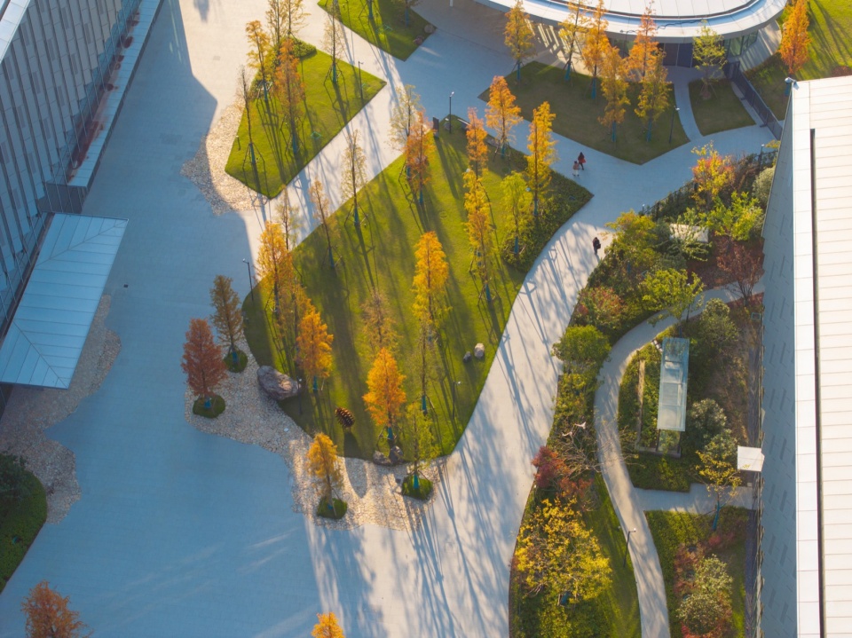 hangzhou alibaba nanhu future science park by ups