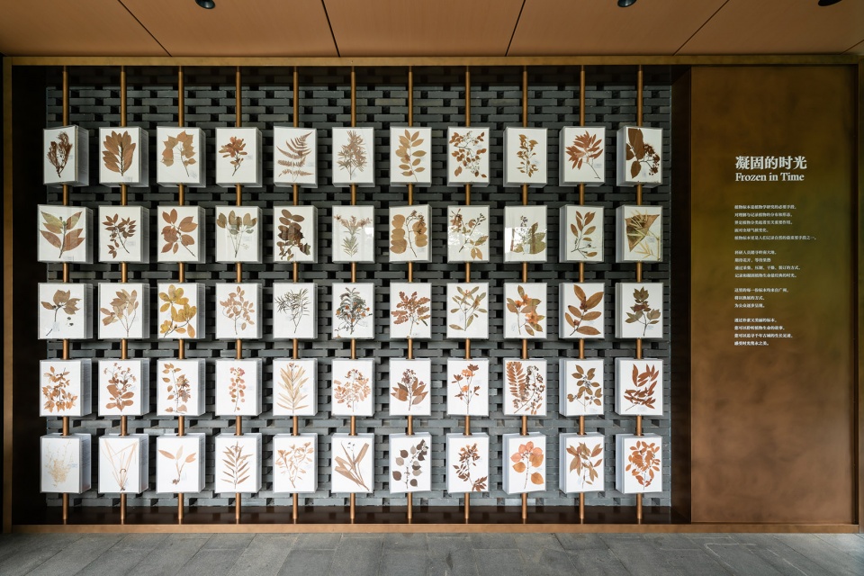 Yunxi Ex situ Conservation Demonstration Area of South China National Botanical Garden Nature Education Center by ARCHITECTURAL DESIGN RE...