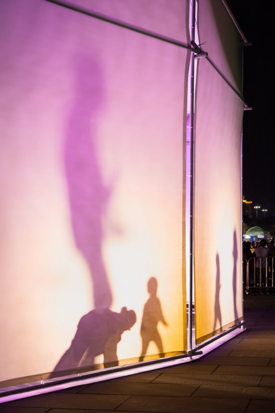 shadow play in bloom by shaoshu atelier