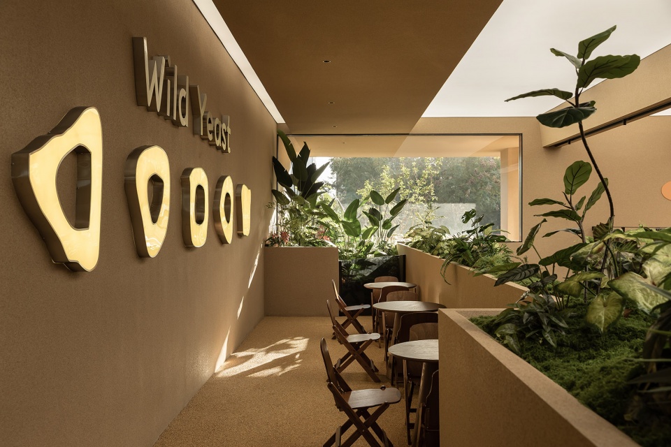 Wild Yeast by WYR Design Studio