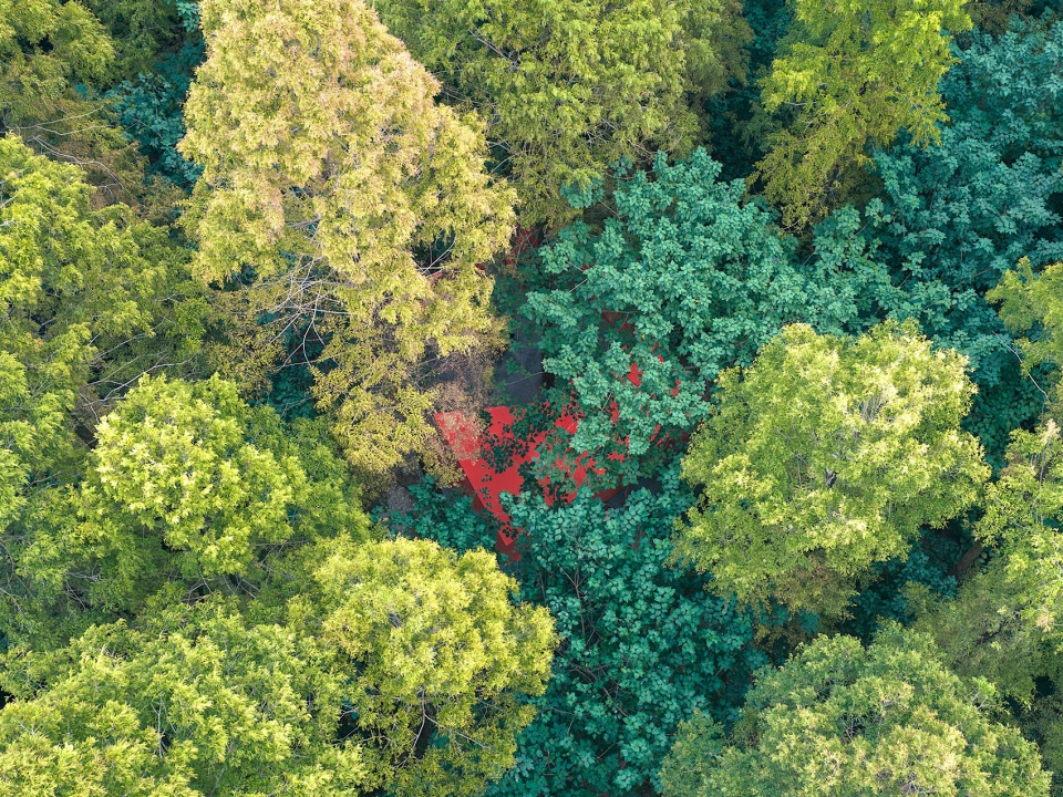 Wild Home 137 Merryda Wiki World Red Cabin