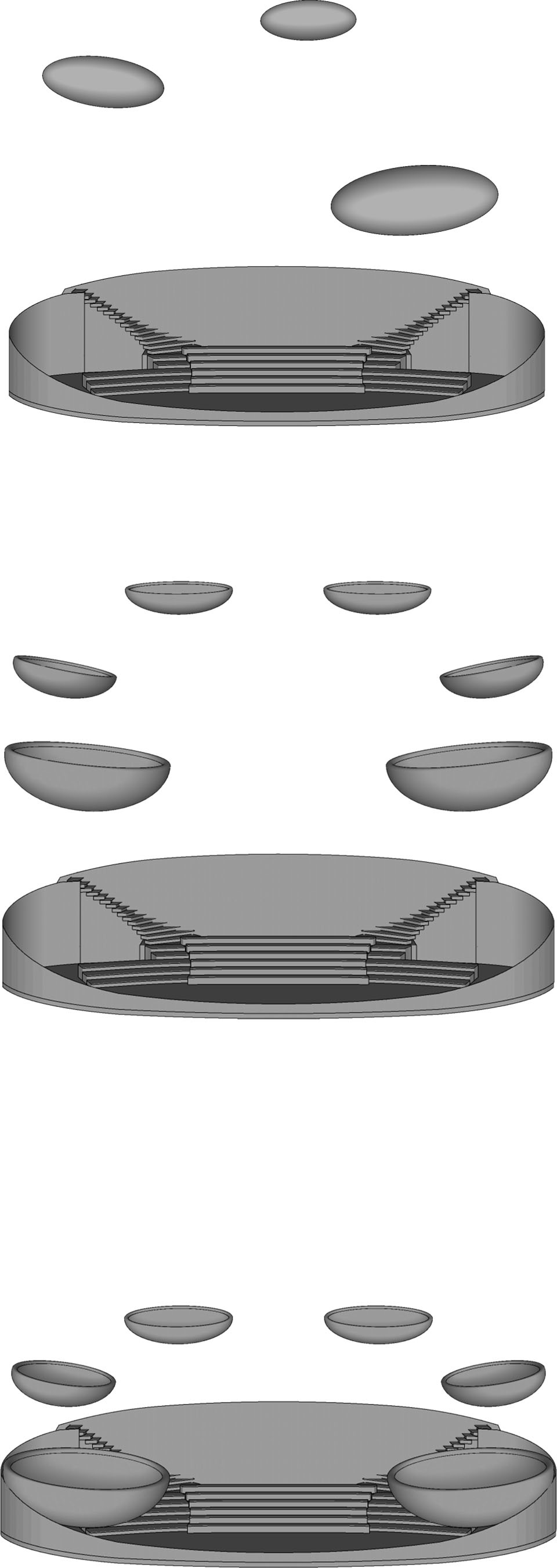 The Ripples
