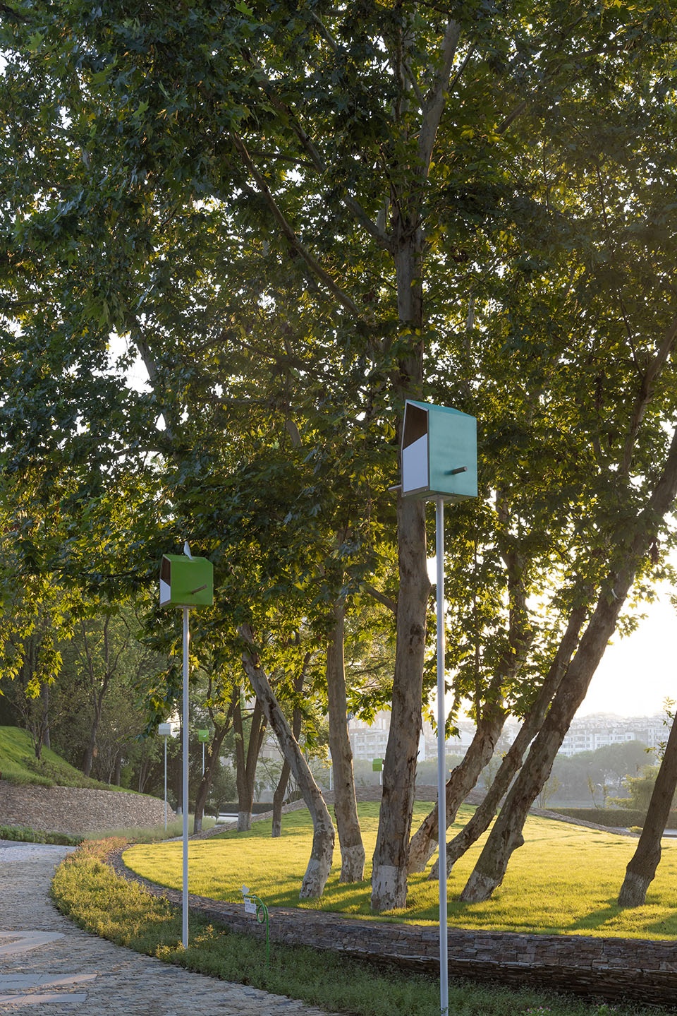 Xiaoxita Forest Park